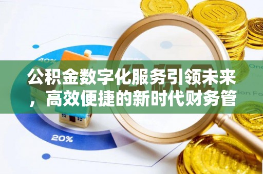 墨江公积金数字化服务引领未来，高效便捷的新时代财务管理