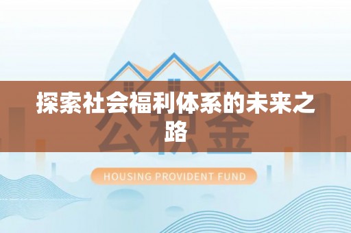 墨江探索社会福利体系的未来之路