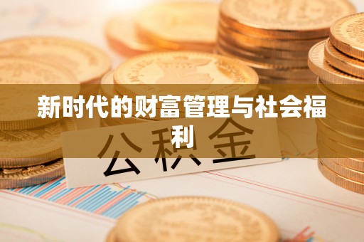 墨江新时代的财富管理与社会福利