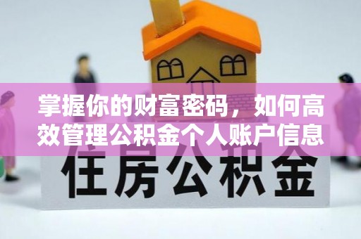 墨江掌握你的财富密码，如何高效管理公积金个人账户信息