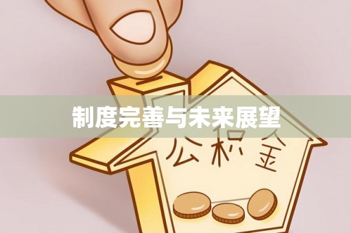 墨江制度完善与未来展望