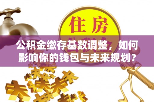 墨江公积金缴存基数调整，如何影响你的钱包与未来规划？