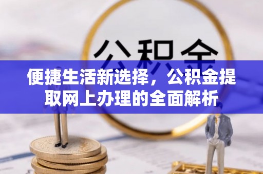 墨江便捷生活新选择，公积金提取网上办理的全面解析